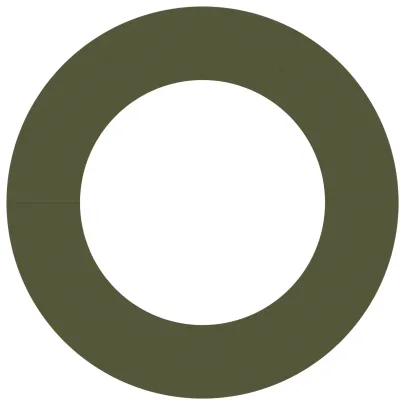 Ghiveci Ceramic Verde Olive - Decor Interior/Exterior