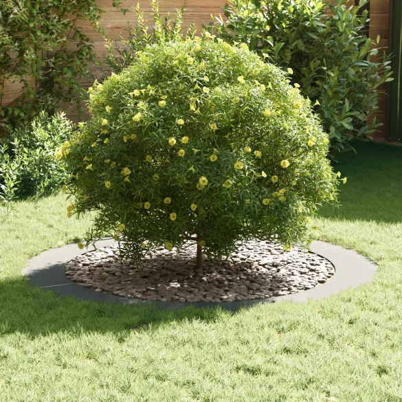 Ghiveci Metal Zincat Mare | Durabil și Modern | Livrare Gratuită