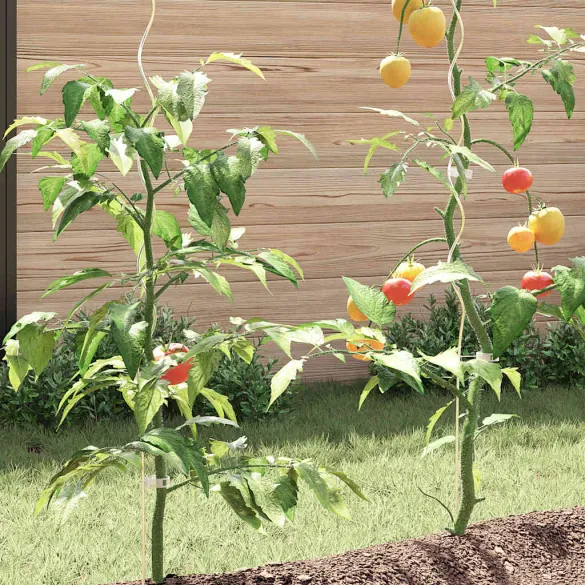 Spirale Suport Plante - Oțel Galvanizat, 50 buc., 170 cm Spirale Suport Plante - Oțel Galvanizat, 50 buc., 170 cm