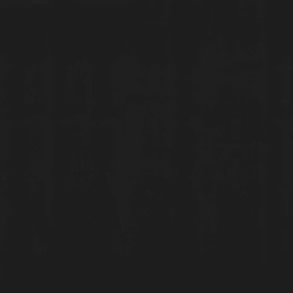 Copertină Retractabilă Antracit 200x150 cm - Rezistentă