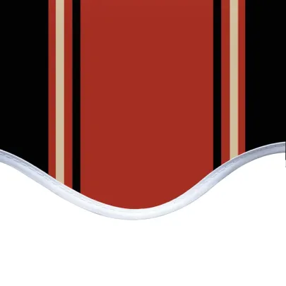 Pânză Copertină Rezistentă UV 450x300 cm - Portocaliu-Marou