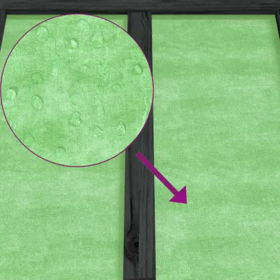 Colivie Păsări Exterior Lemn Masiv - Livrare Gratuită