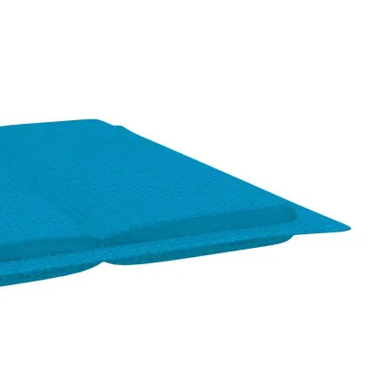 Șezlong Grădină Lemn Acacia cu Pernă - Livrare Gratuită