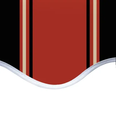 Pânză de rezervă copertină portocaliu-maro 4x3,5m - Impermeabilă