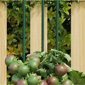 Țăruși Plante Grădină 30 buc Verde 150cm Oțel | Suport Plante