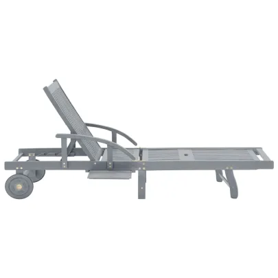 Șezlong Garden Relax - Lemn Acacia Masiv, Gri | Comandă Acum