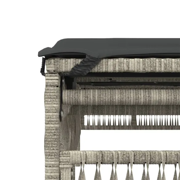 Șezlonguri de plajă cu perne - 2 bucăți - Poliratan - Livrare Gratuită