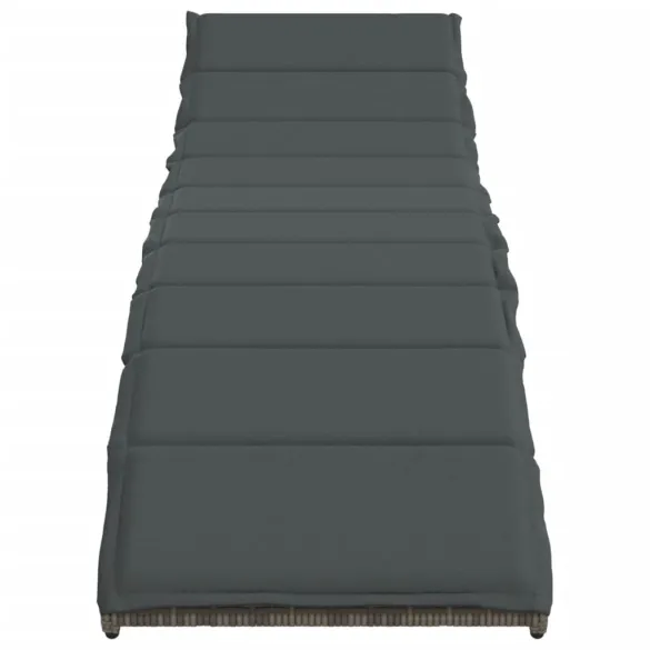 Șezlonguri de plajă cu perne - 2 bucăți - Gri - Poliratan