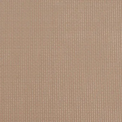 Șezlonguri Pliante Gri - 2 Bucăți - Textilenă și Oțel