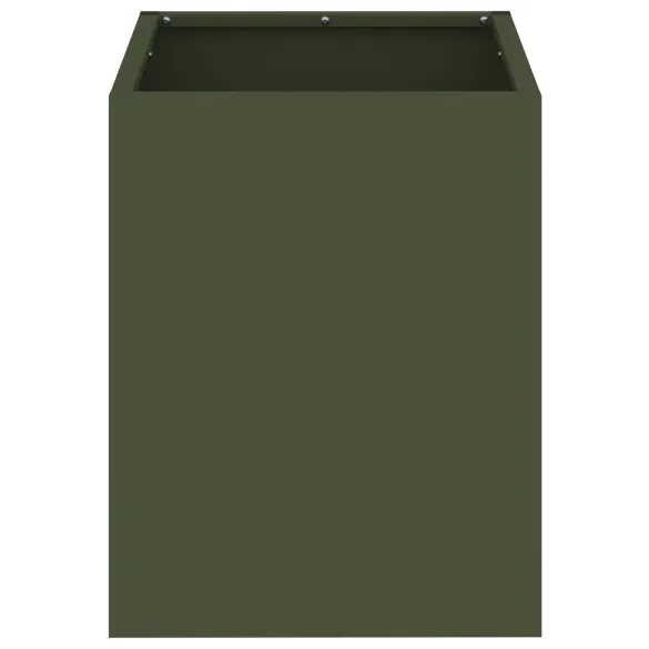 Vază Grădină Oliv 50x32x40 cm | Livrare Gratuită