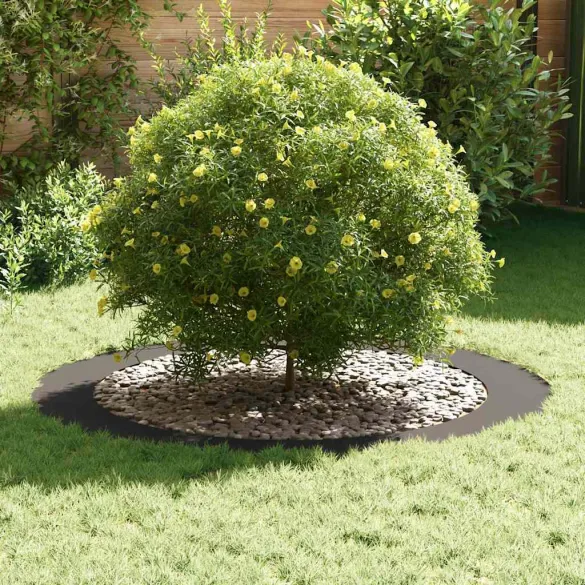 Set Ghivece Negre Plastic | Interior & Exterior | Livrare Gratuită