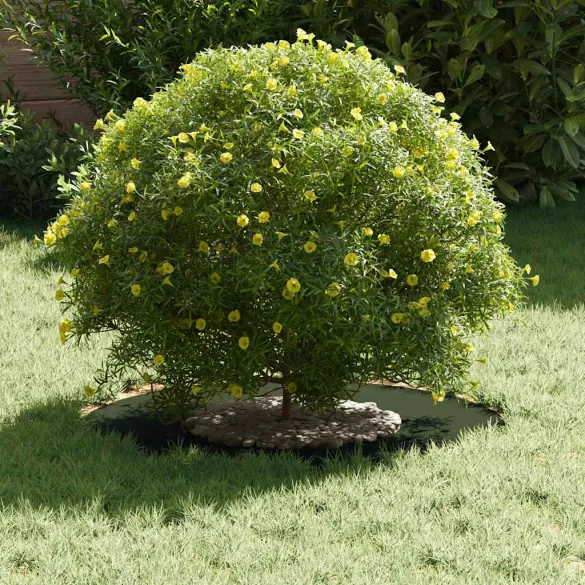 Ghiveci Plastic Verde Măsliniu - Interior/Exterior