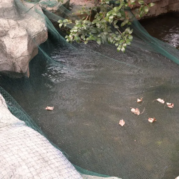 Plasă de acoperire iaz 12x6m PE | Rezistentă UV