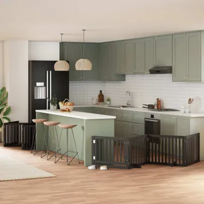 Poartă Câini Pliabilă Lemn Plop Negru - 800 cm