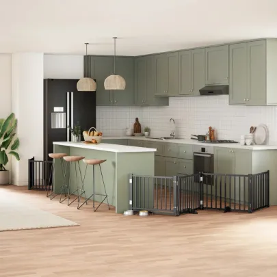 Poartă Câini Pliabilă 6 Panouri Negru - 480 cm - Lemn Plop