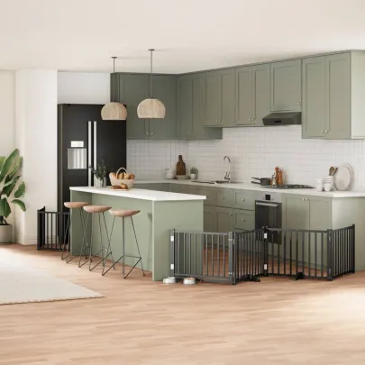 Poartă Câini Pliabilă Lemn Plop cu Ușă - 800 cm