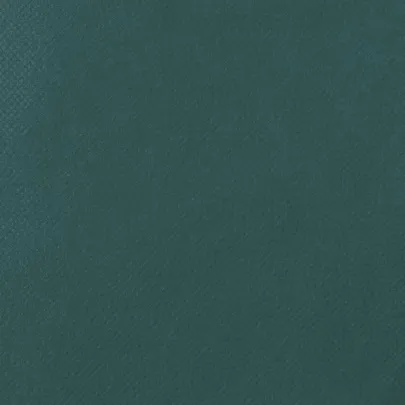 Huse Protectie Plante Anti-Inghet - Set 8 bucati