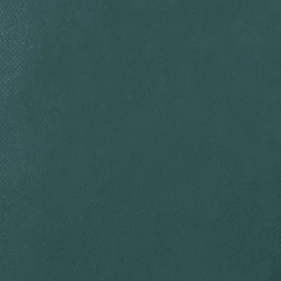 Huse Protecție Plante împotriva Înghețului - 12 bucăți