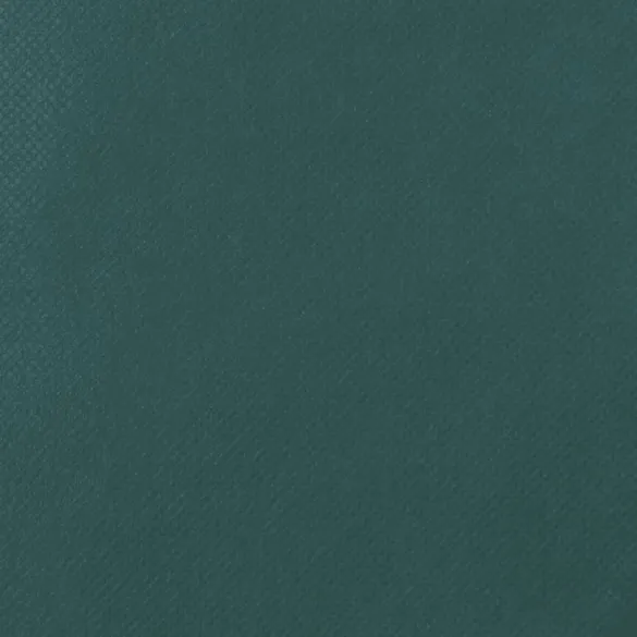 Huse Protecție Plante Fermoar - 4 bucăți | Livrare Gratuită