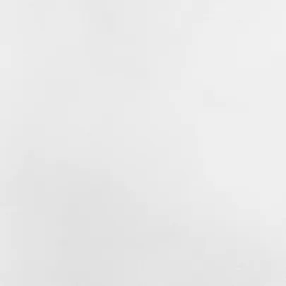 Huse Protecție Plante Fermoar - 10 buc | Livrare Gratuită