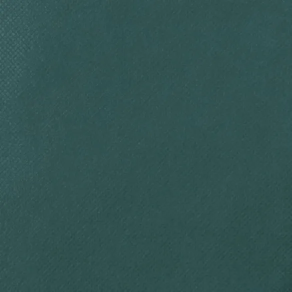 Huse Protecție Plante cu Fermoar - 10 bucăți