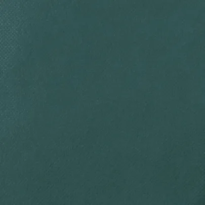 Huse Protecție Plante cu Fermoar - 10 bucăți