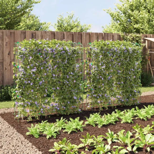 Spaliere Grădină Oțel cu Cadru U - 2 bucăți | Livrare Gratuită