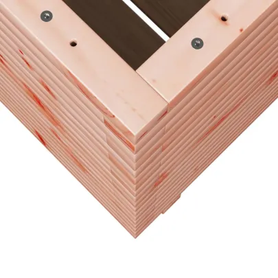 Jardinieră Grădină Lemn Masiv Douglas | Livrare Gratuită