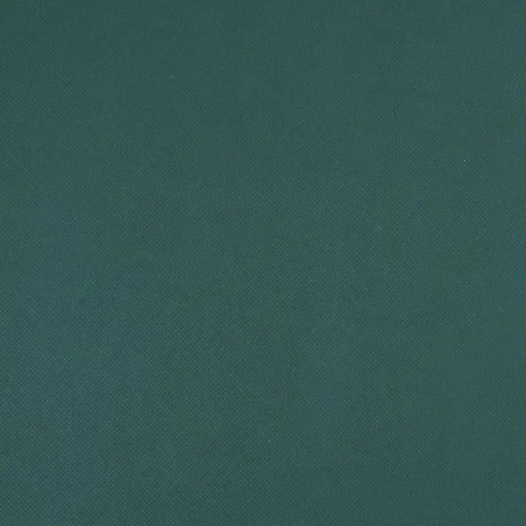 Folie de Protecție pentru Plante 70g/m² - Livrare Gratuită