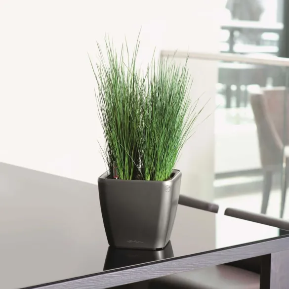 Jardiniera Quadro 28 LS ALL-IN-ONE - Cărbune | Lechuza