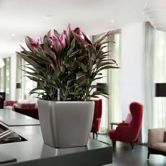 Jardiniera Quadro 28 LS ALL-IN-ONE - Cărbune | Lechuza