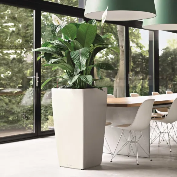 Jardinieră Cubico 40 ALL-IN-ONE Alb - Sistem Auto-Irigare