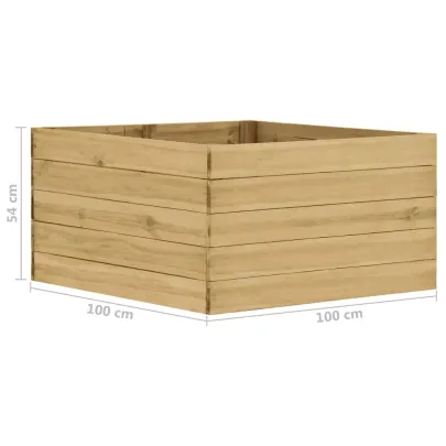 Strat Înălțat Grădină Lemn Pin 100x100x54 cm