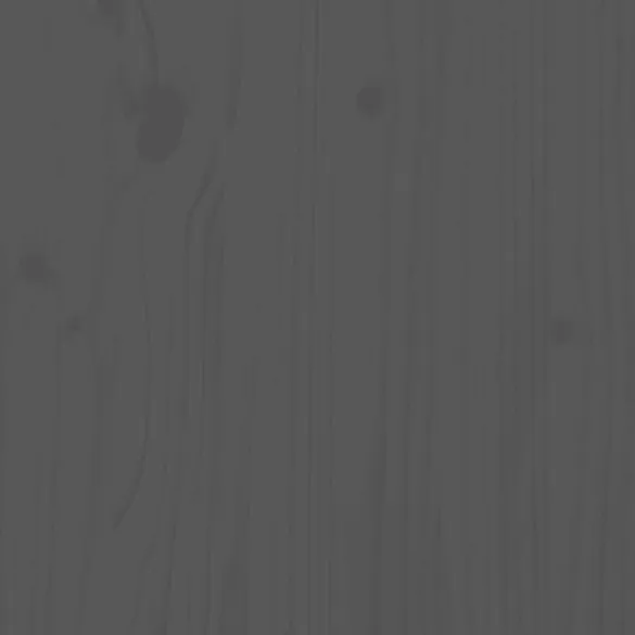 Strat Înălțat Grădină Gri - Lemn Masiv de Pin - 101x30x38 cm