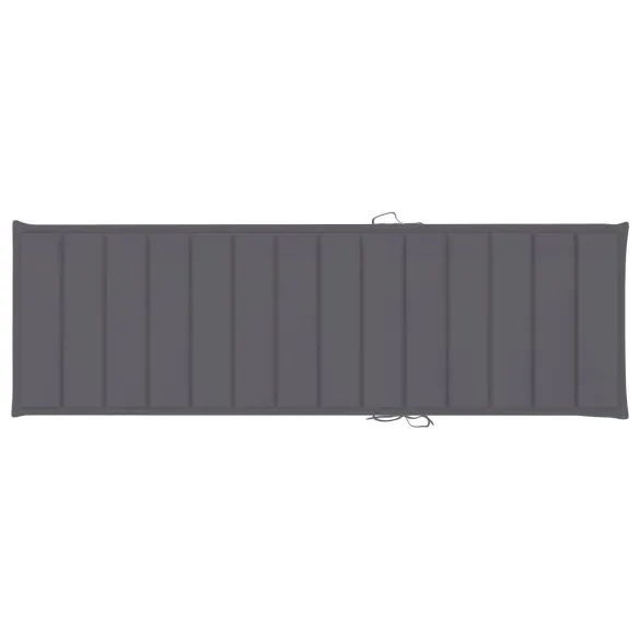 Șezlong Dublu cu Perne Antracit - Lemn de Pin Tărtat