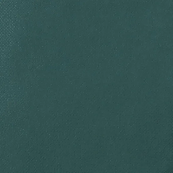 Huse Protectie Plante Antigel - 12 buc - Livrare Gratuita