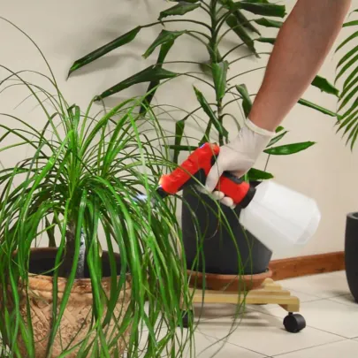 Pulverizator Electric Reîncărcabil 3.6V cu LED | Livrare Gratuită