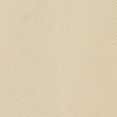 Huse Protectie Plante Iarna - 12 buc, 0.8x1m