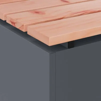 Bancă Grădină Antracit Oțel | Livrare Gratuită