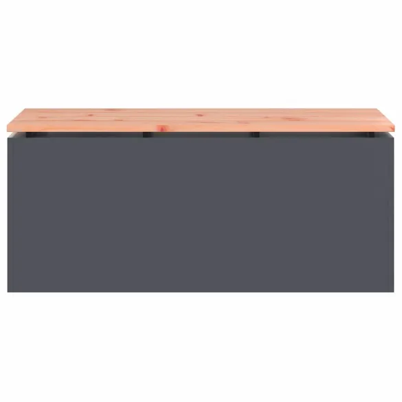 Bancă Grădină Antracit Oțel - Livrare Gratuită