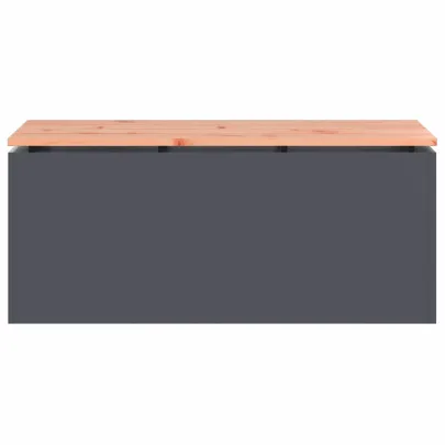 Bancă Grădină Antracit Oțel - Livrare Gratuită