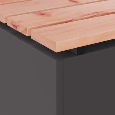 Bancă Grădină Modernă Oțel Negru 40x40x43 cm