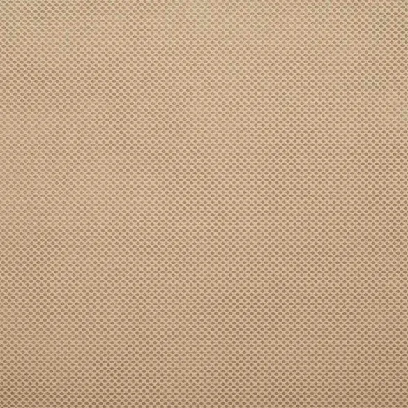 Fleece Protecție Plante Anti-Îngheț Bej 100x1.6m