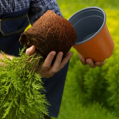 Vaze Flori Plastic Ceramicat, Set 200 Bucati | Comanda Acum