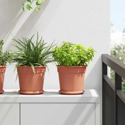 Set Ghivece Flori Roșu Cărămidă | 24 Bucăți | Livrare Gratuită