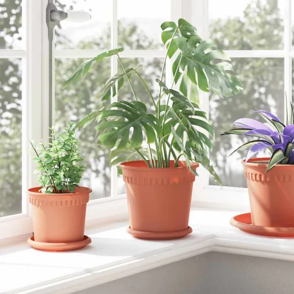 Set Ghivece Flori Roșu Cărămidă | 24 Bucăți | Livrare Gratuită