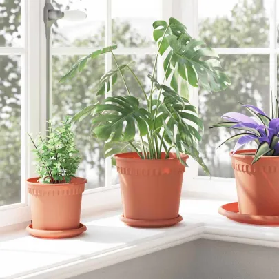 Set Ghivece Flori Roșu Cărămidă | 24 Bucăți | Livrare Gratuită