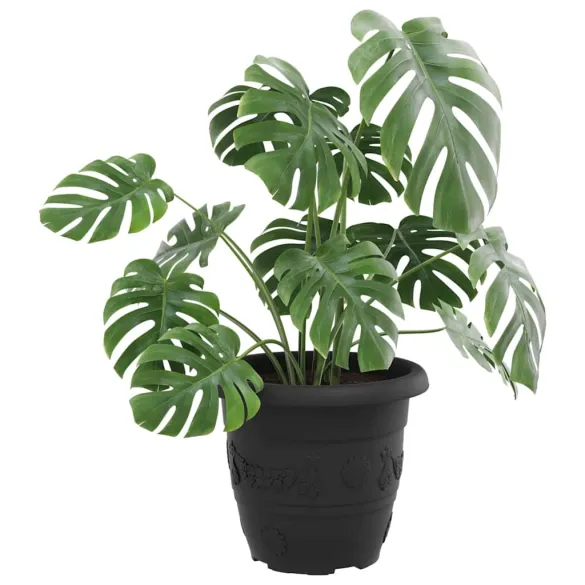 Set Ghivece Flori Rotunde Negre | Plastic pentru Interior/Exterior