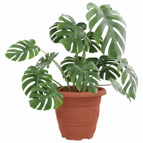 Set Ghivece Flori Roșu Cărămidă | 24 buc | Livrare Gratuită