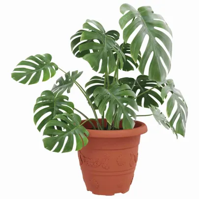 Ghivece Rotunde Roșu Cărămidă, Set 24 buc, Plastic Rezistent